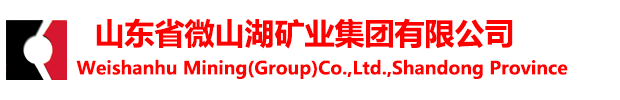山東省微山湖礦業(yè)集團(tuán)有限公司